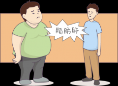 hahabet星辰大海科技