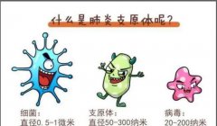 hahabet星辰大海科技
