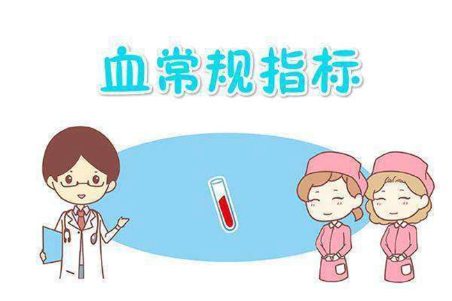 hahabet星辰大海科技