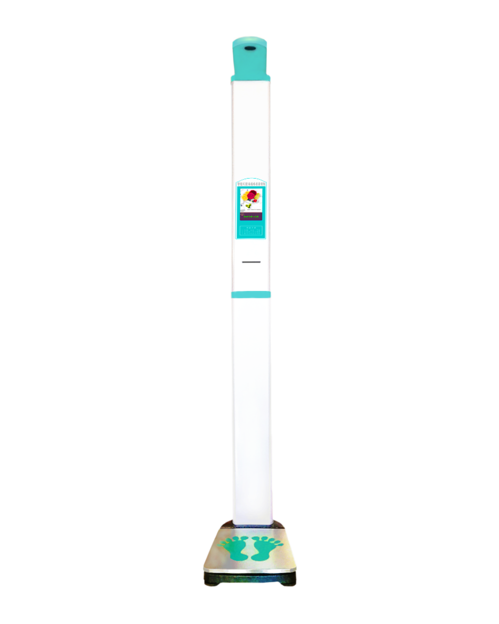 SH-300G智能互联超声波身高体沉丈量仪