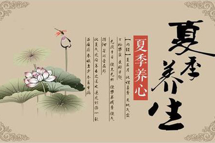 hahabet星辰大海科技