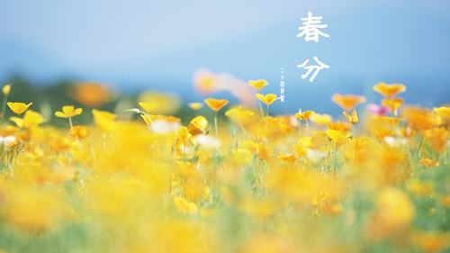 hahabet星辰大海科技
